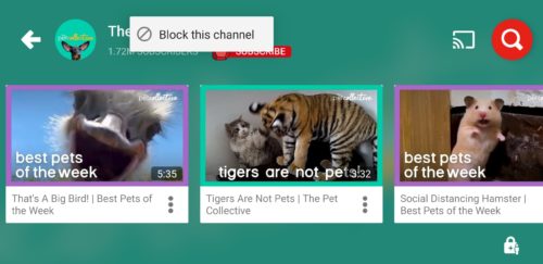 YouTube Kids Parental Controls Block Channel